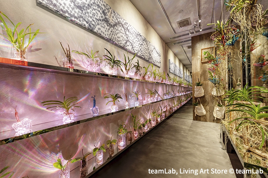 teamLab