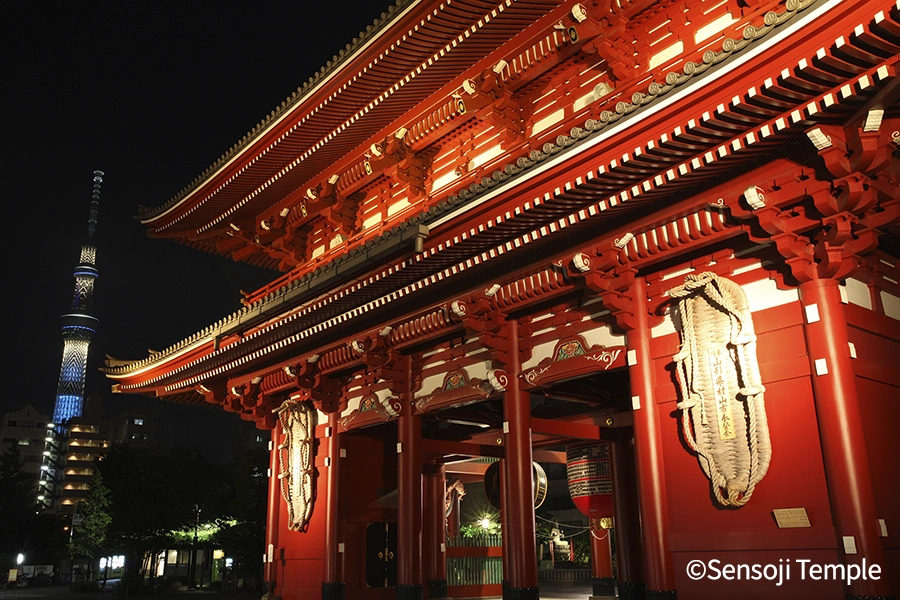 Nighttime City Strolls