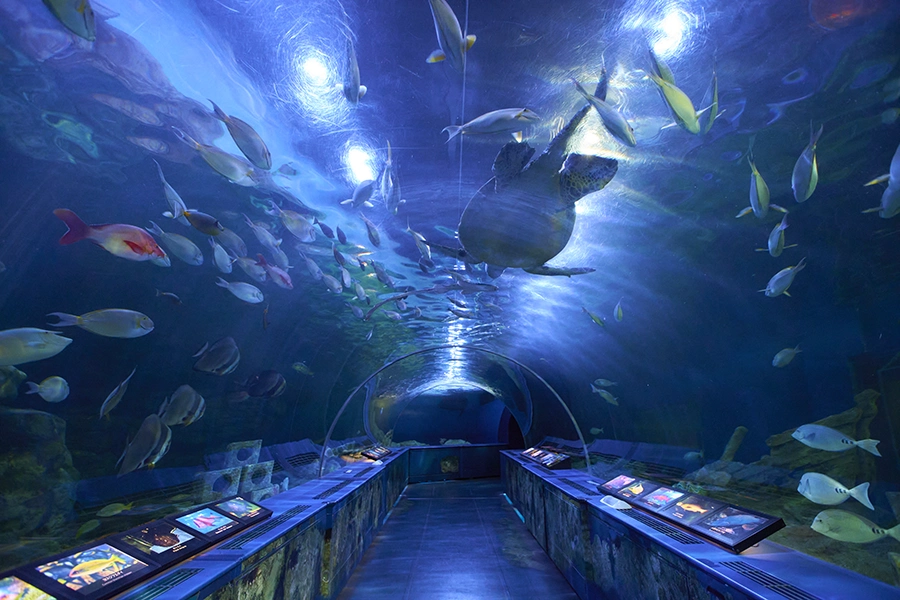 Shinagawa Aquarium