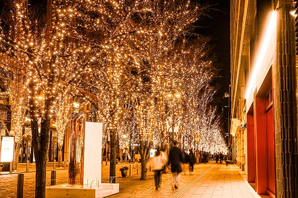 vol.177