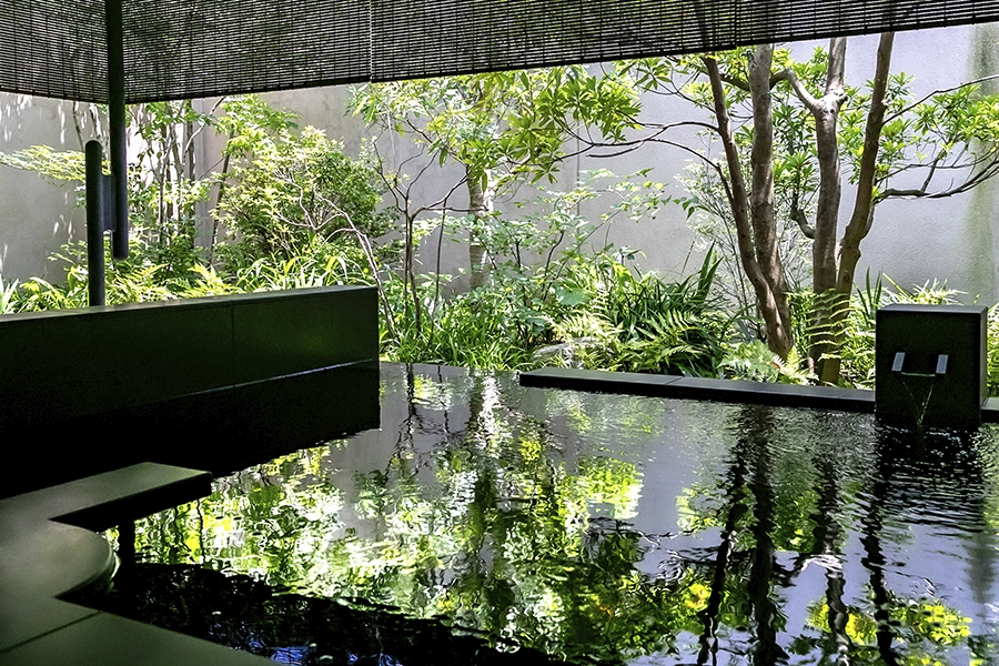 Auberge TOKITO