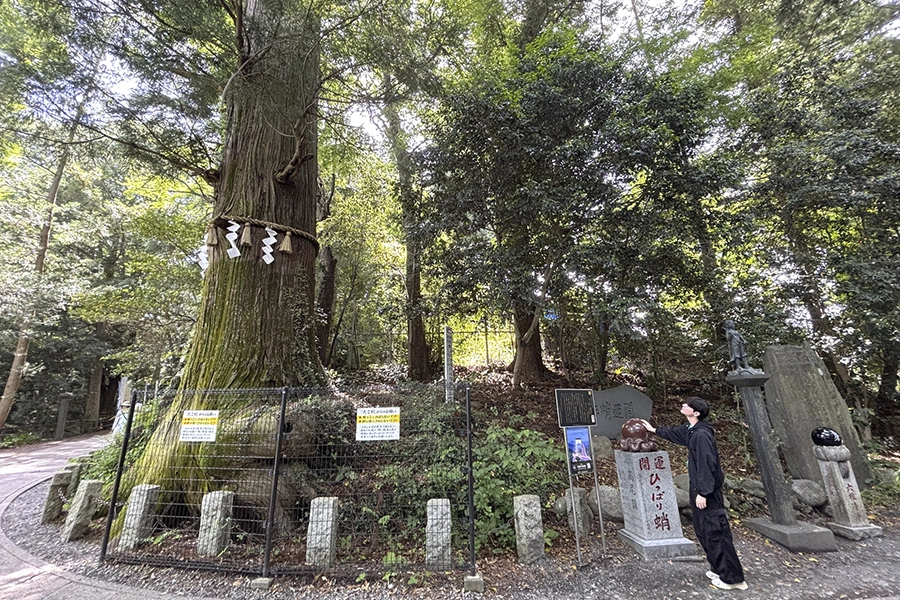 Mt. Takao