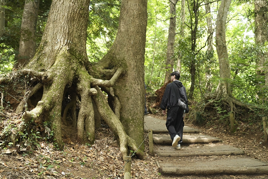 Mt. Takao