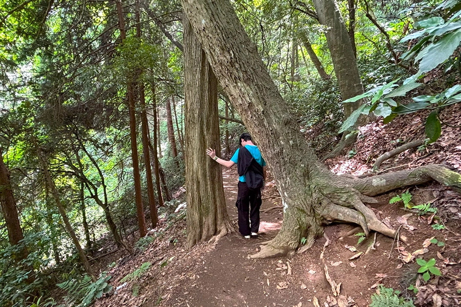Mt. Takao