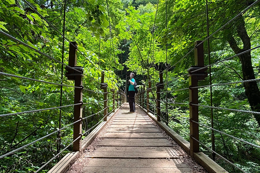 Mt. Takao