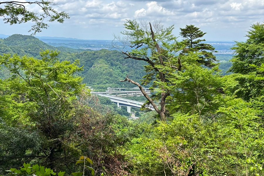 Mt. Takao
