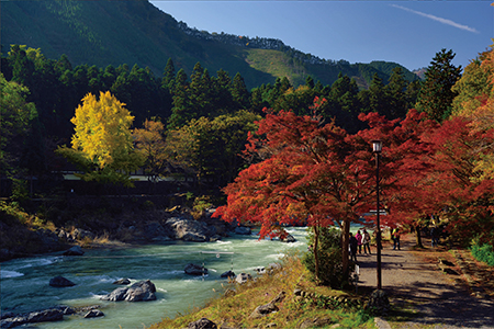 Mt. Mitake Autumn Leaves Festival