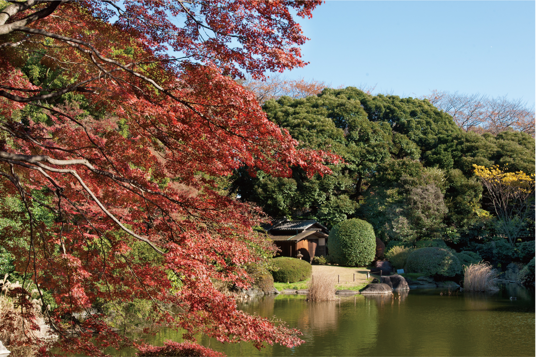 Museum Garden Opening (Autumn)