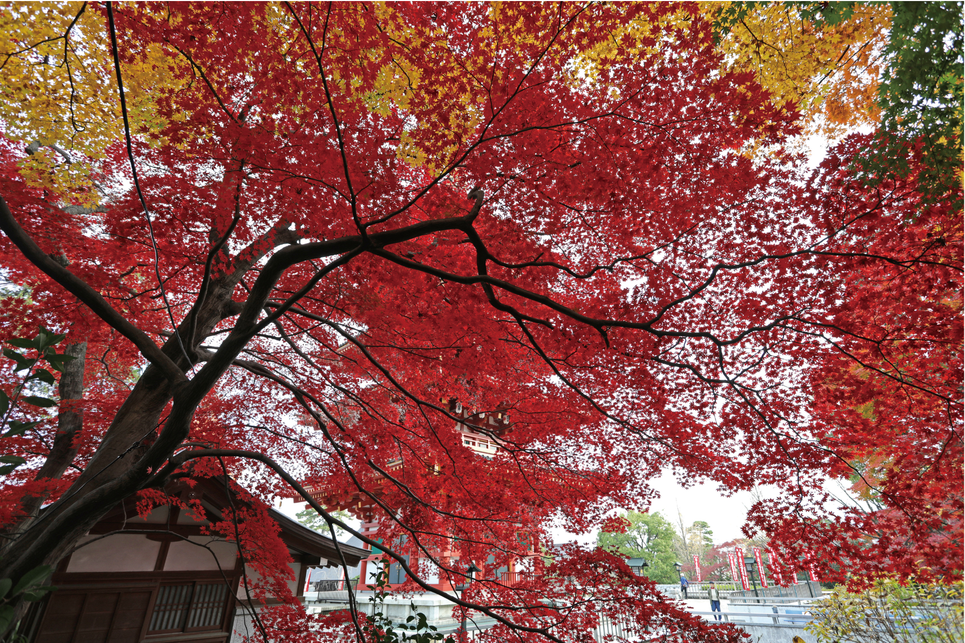 Takahata Fudo-son Autumn festival