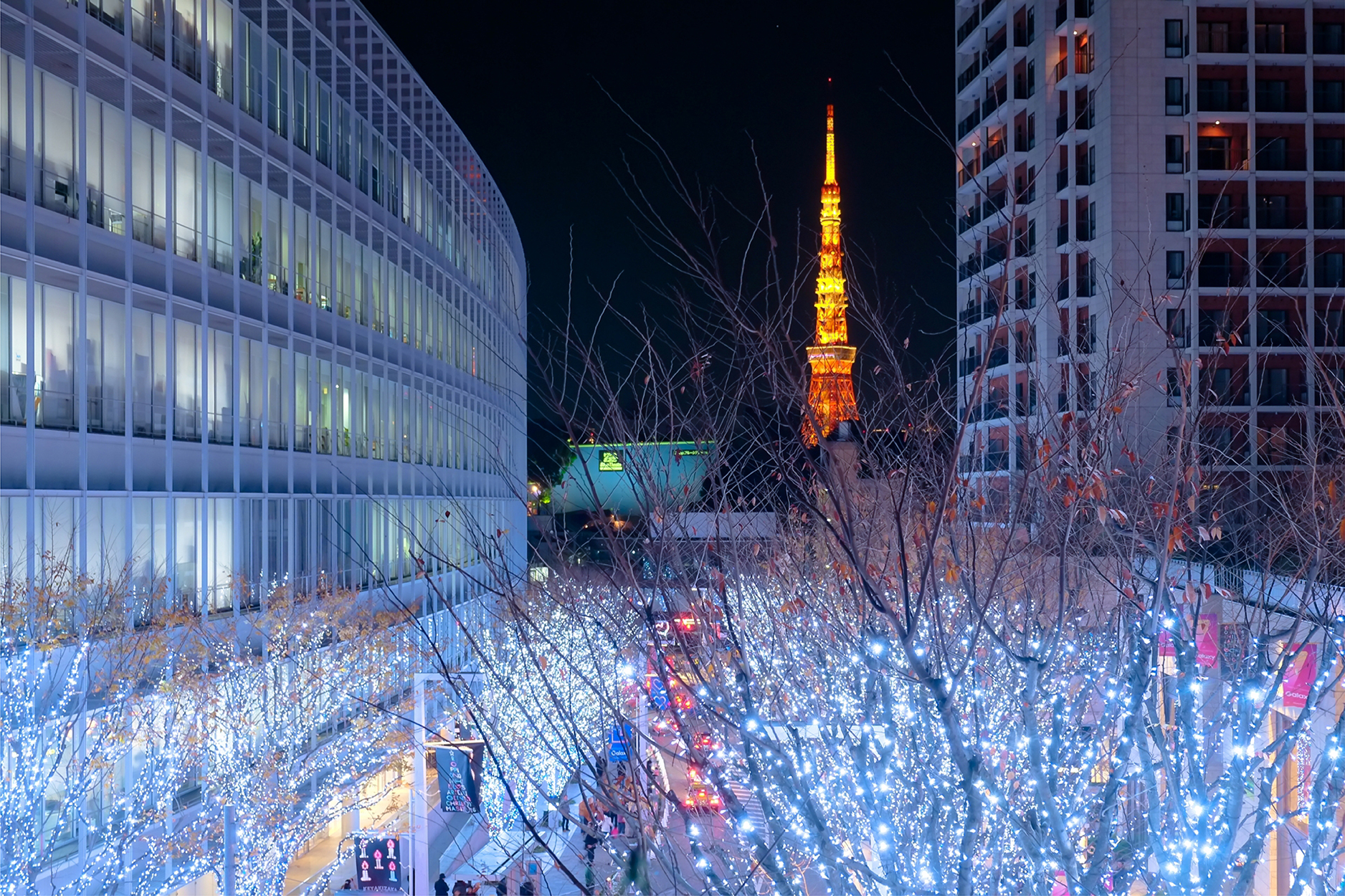 Fall in Japan is a Time for Sports and More