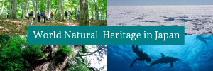 World Natural Heritage in Japan - Choose your Travel, Choose your Future