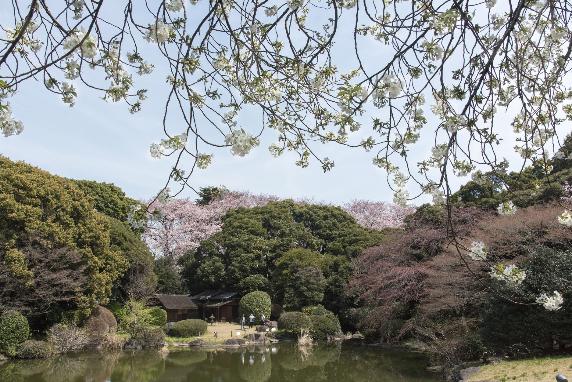 Springtime opening of the Museum Garden