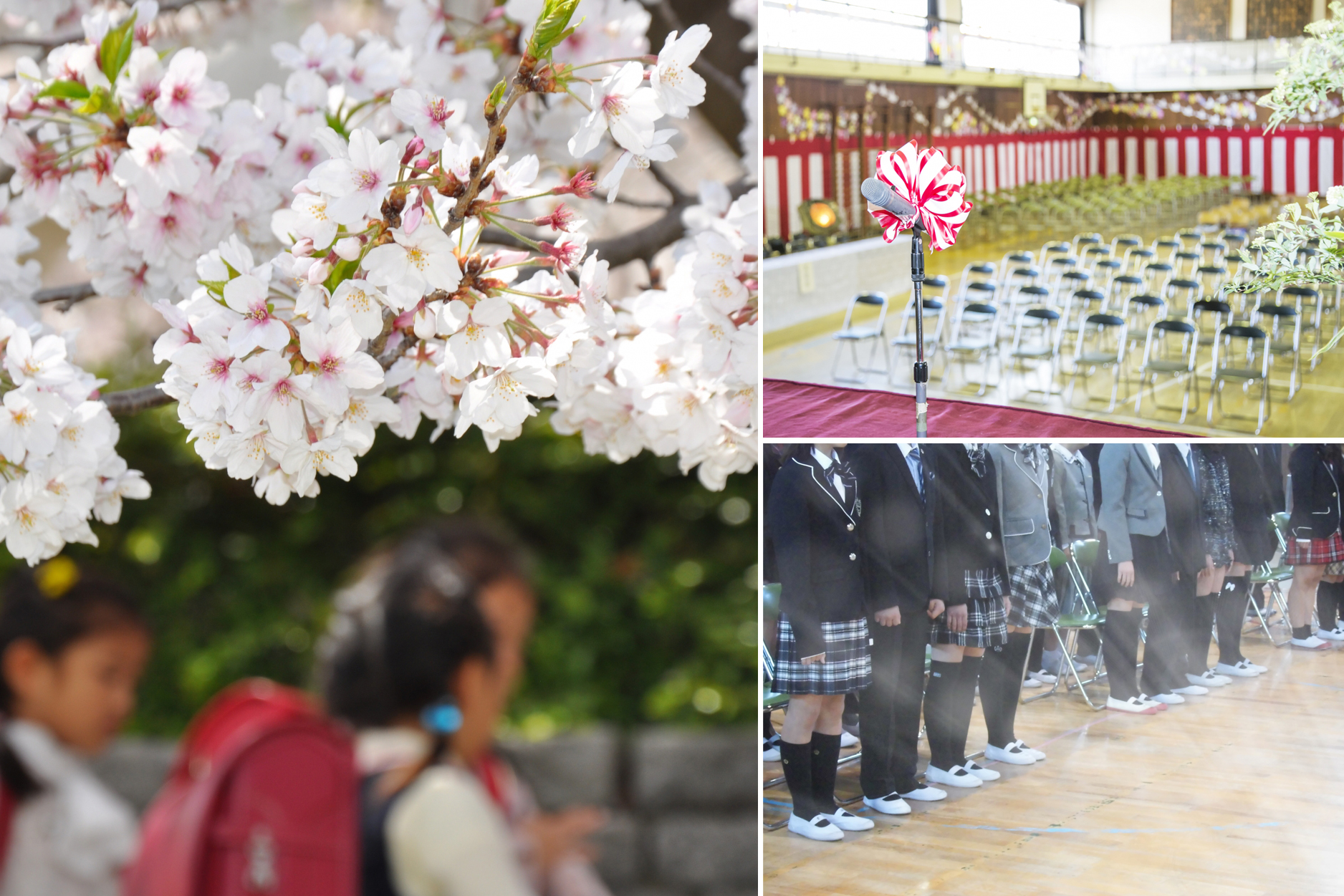 As Winter Winds Down, Tokyo Comes Alive with Change