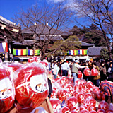 Daruma Fair at Haijima-daishi