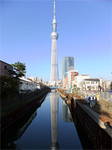 TOKYO SKYTREE® from Jukken Bridge
