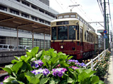 Did you Know? Fun Facts About Tokyo: Streetcars Can Be Used for Various Purposes