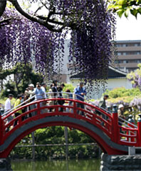 Kameido Tenjin