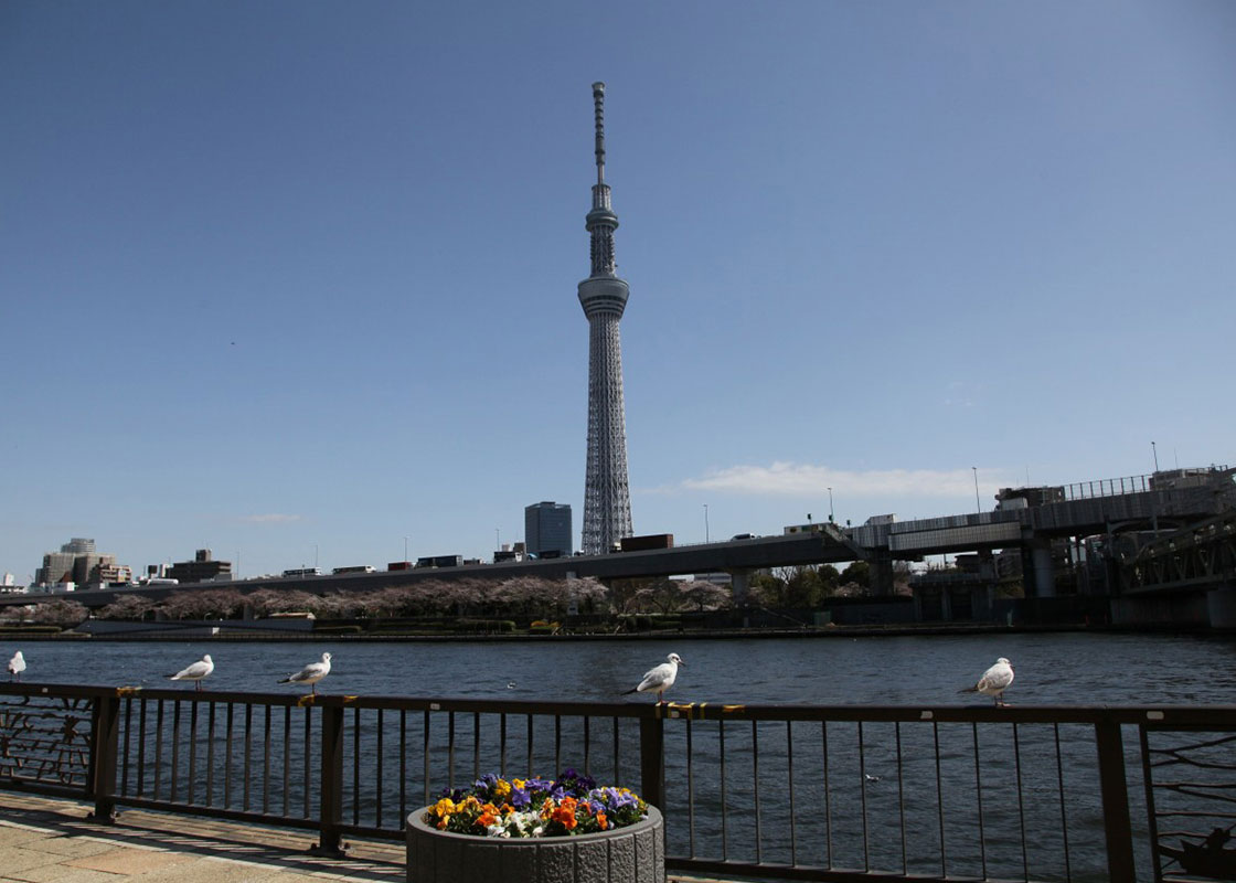 TOKYO SKYTREE