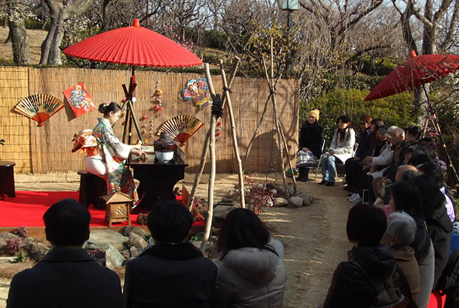 Setagaya Ume (Plum Blossom) Festival