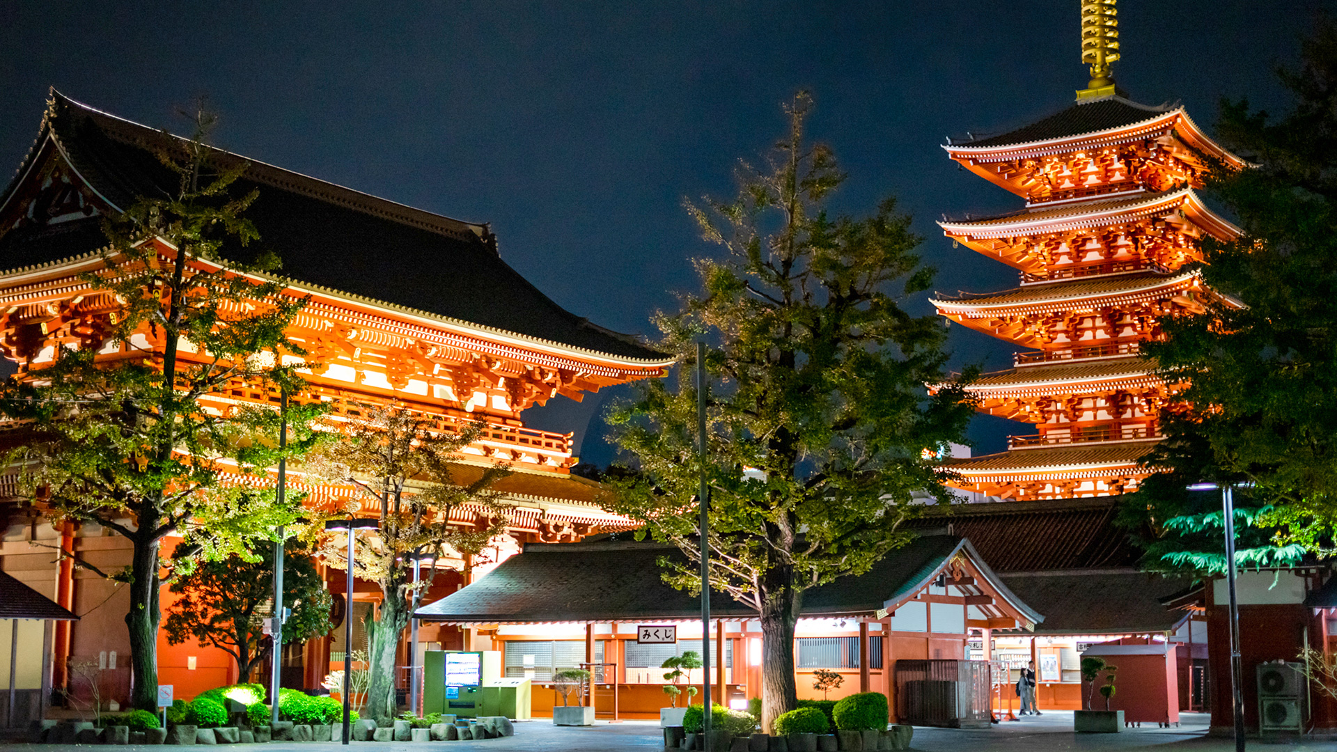Vistas nocturnas rutilantes de Tokio / Portal Oficial de Turismo de Tokyo GO TOKYO