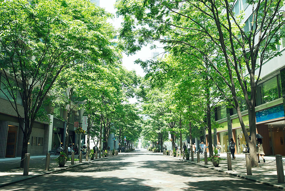 Rue Marunouchi Naka-dori