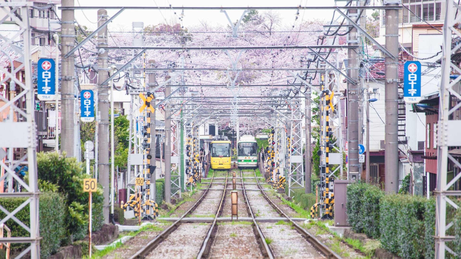 local-railways