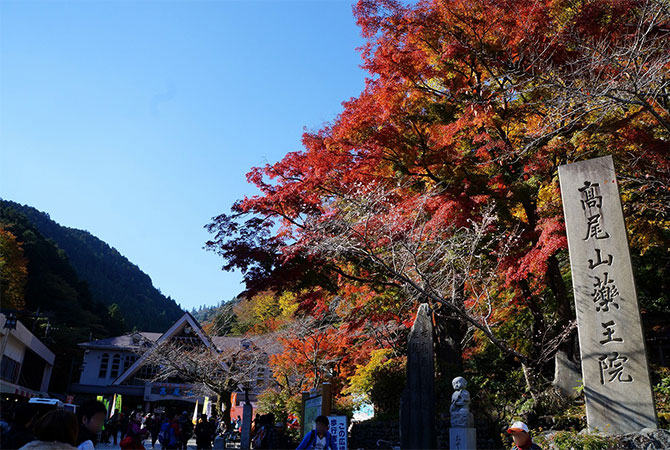 Takao Autumn Leaves Festival