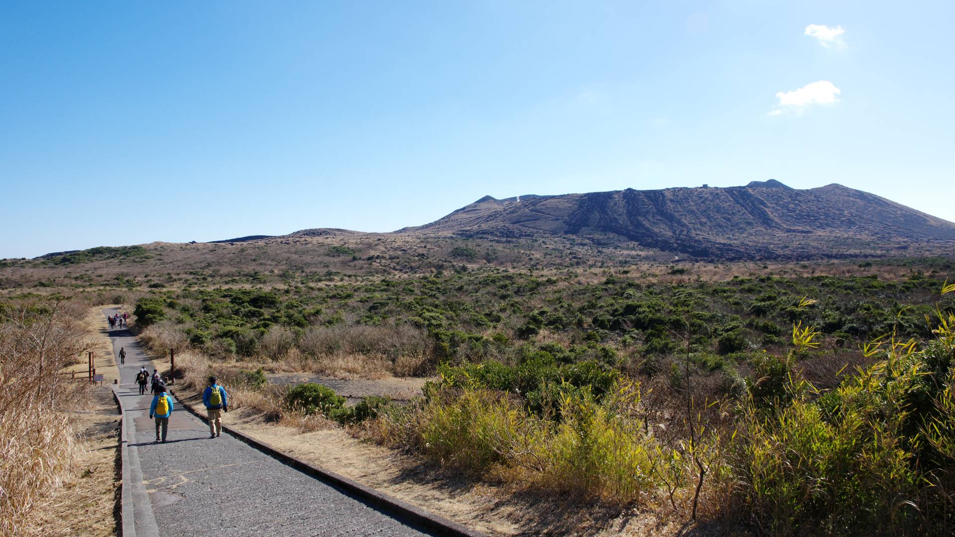 oshima-island