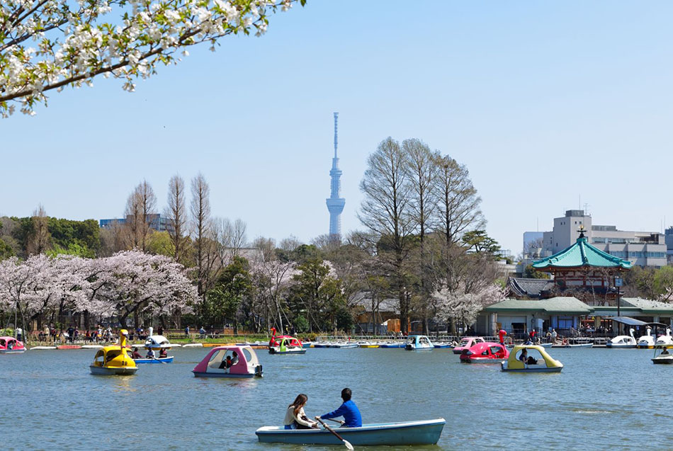 Laghetto Shinobazu a Ueno