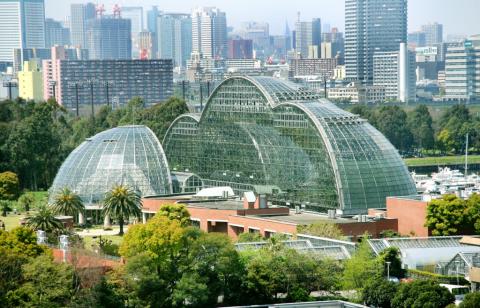 ここに癒やしがある 風光明媚な東京都内の大温室 自然植物園スポット9選 Pathee パシー