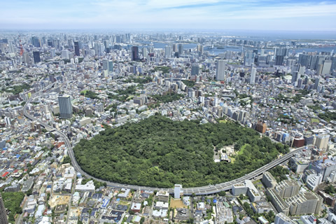 国立科学博物館 附属自然教育園／東京の観光公式サイトGO TOKYO