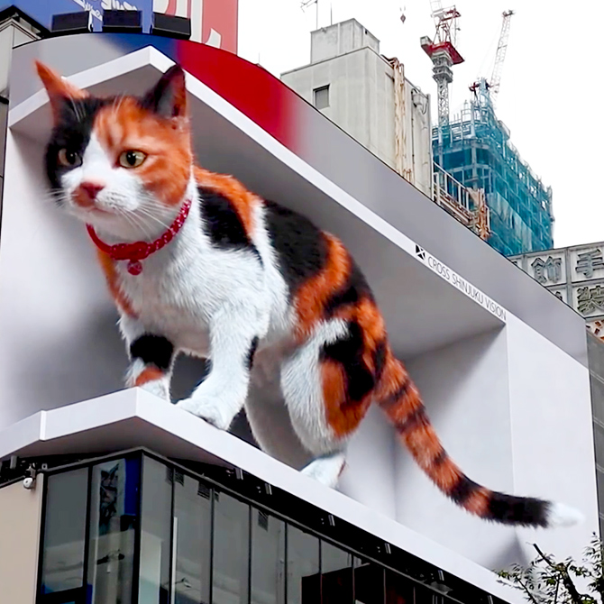 渋谷駅と新宿駅にキュートで巨大な3D秋田犬＆三毛猫が出現／東京の観光