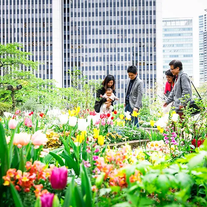 東京都心のビル街へ花咲く春を届ける屋上庭園＆ガーデンへ／東京の観光