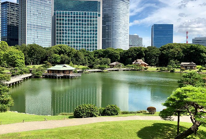 浜離宮恩賜庭園の池