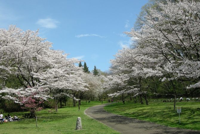 桜ヶ丘公園