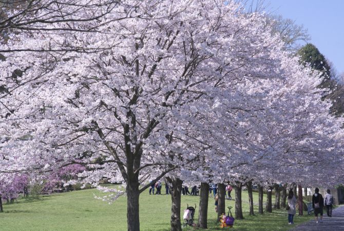 片倉城跡公園