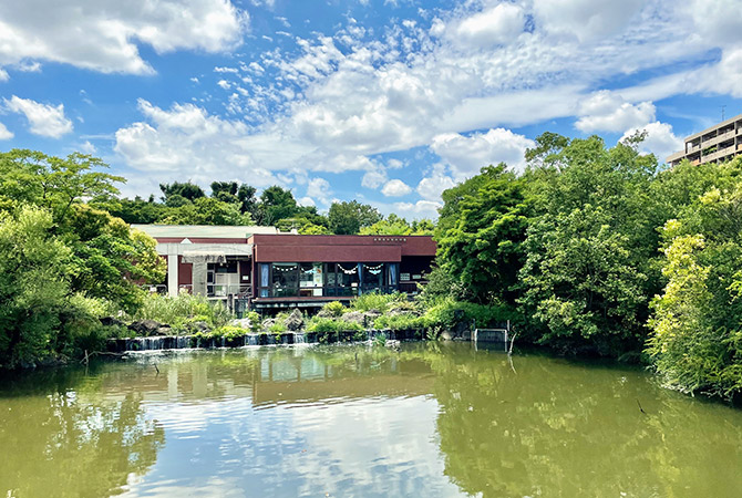 No. 1【初夏の紀の川里風景】 No. 1【初夏の紀の川里風景】
