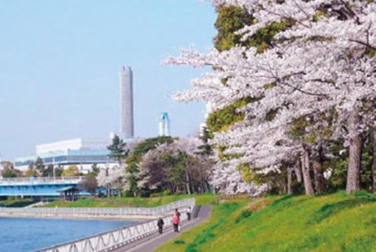京浜運河緑道公園 東京の観光公式サイトgo Tokyo
