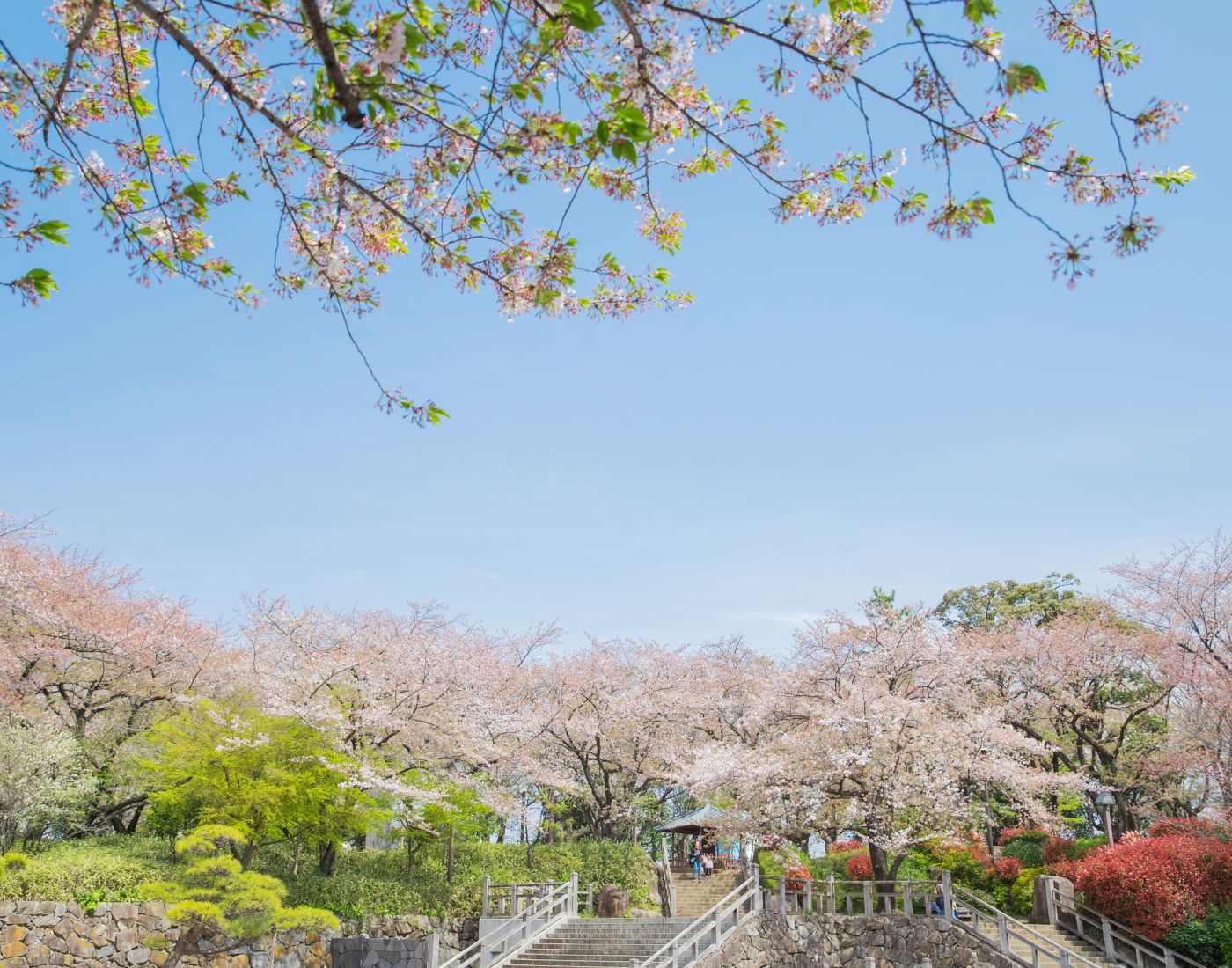 飛鳥山公園／東京の観光公式サイトGO TOKYO