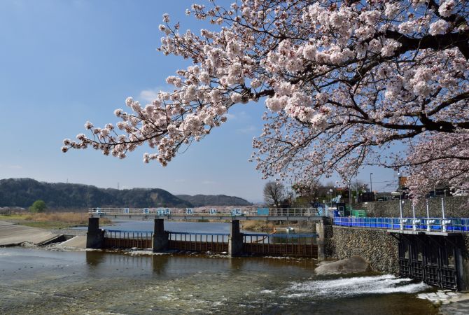 楽天市場】木頭村 山の湧水 1.8Lx6本 送料無料【RCP】 : 水広場