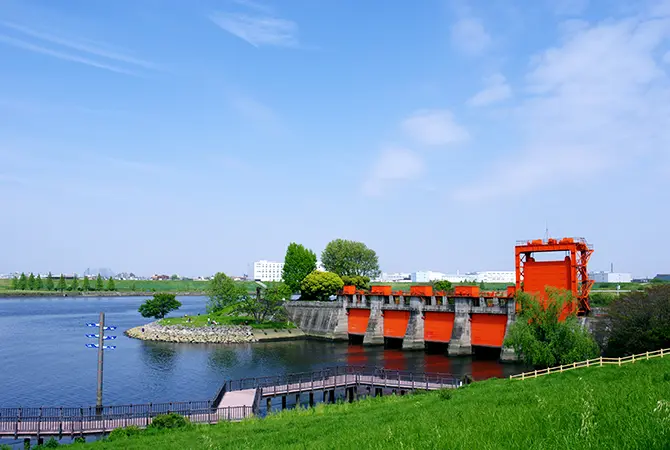 のらくろ」のデザインマンホール蓋／東京の観光公式サイトGO TOKYO