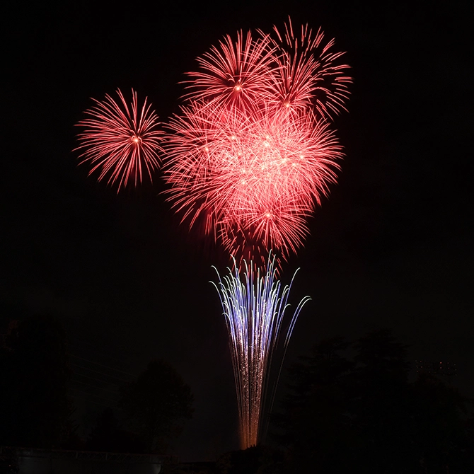 第53回 昭島市民くじら祭夢花火／東京の観光公式サイトGO TOKYO