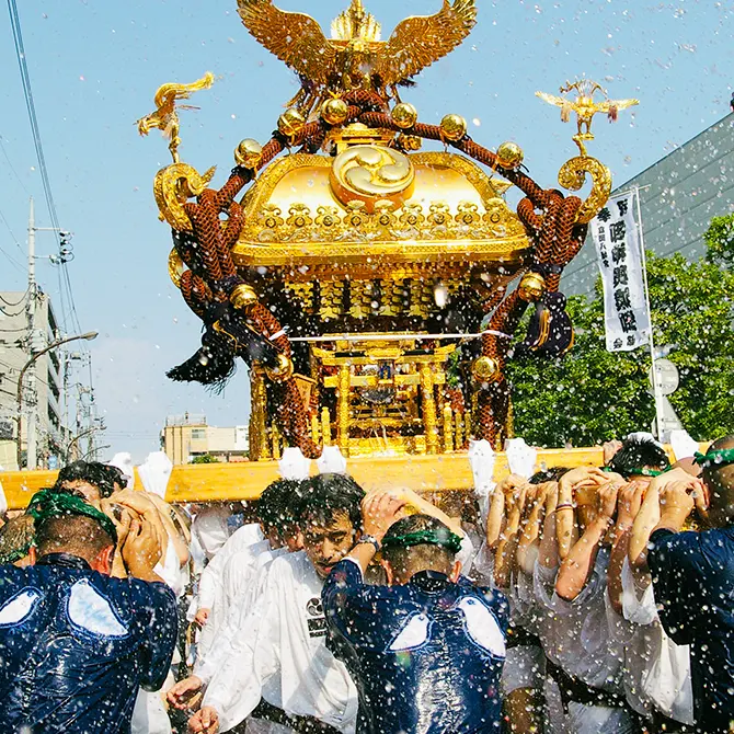 深川八幡祭り(富岡八幡宮例祭)／東京の観光公式サイトGO TOKYO