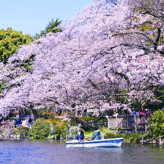 4月 東京の観光公式サイトgo Tokyo