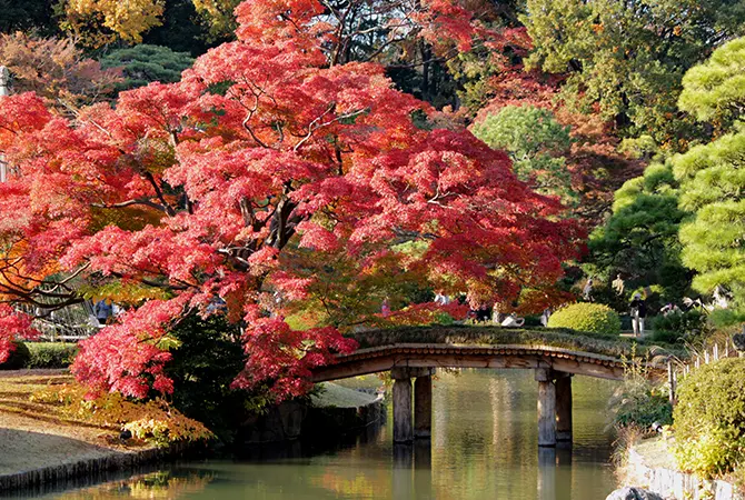 東京は、秋 【公式通販】