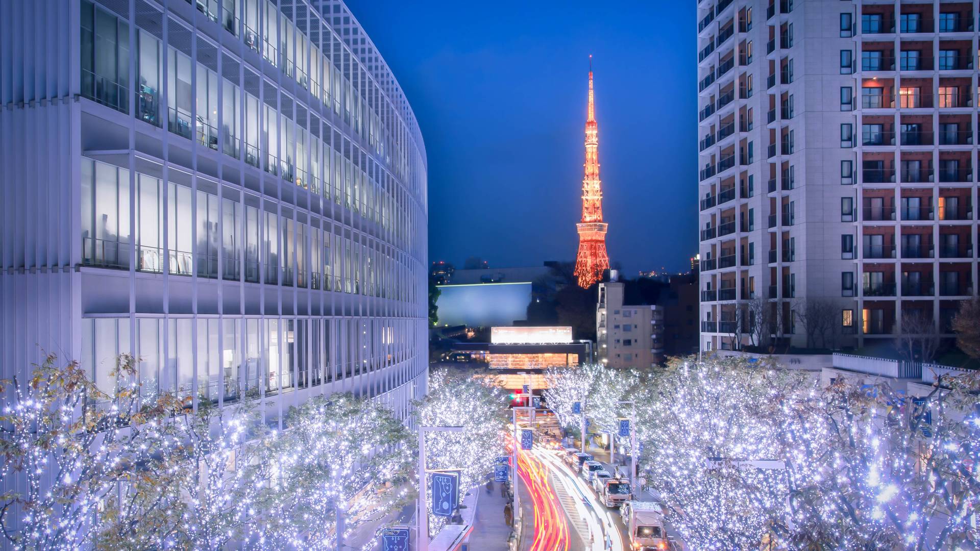 東京 の 冬