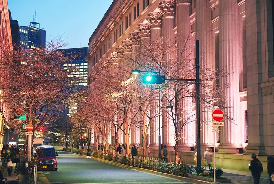 東京の夜桜ガイド／東京の観光公式サイトGO TOKYO