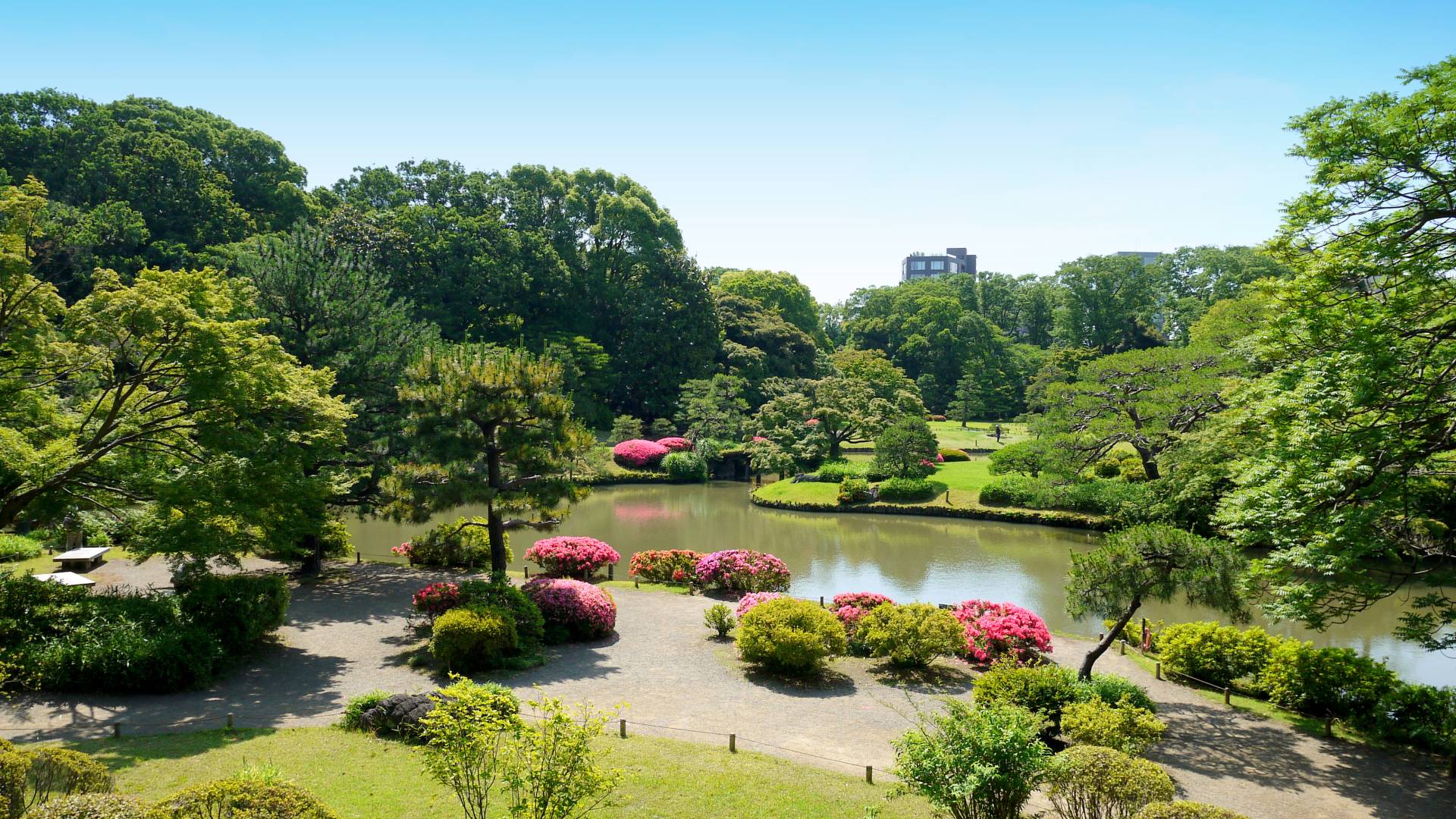 Discover the beauty of Japan