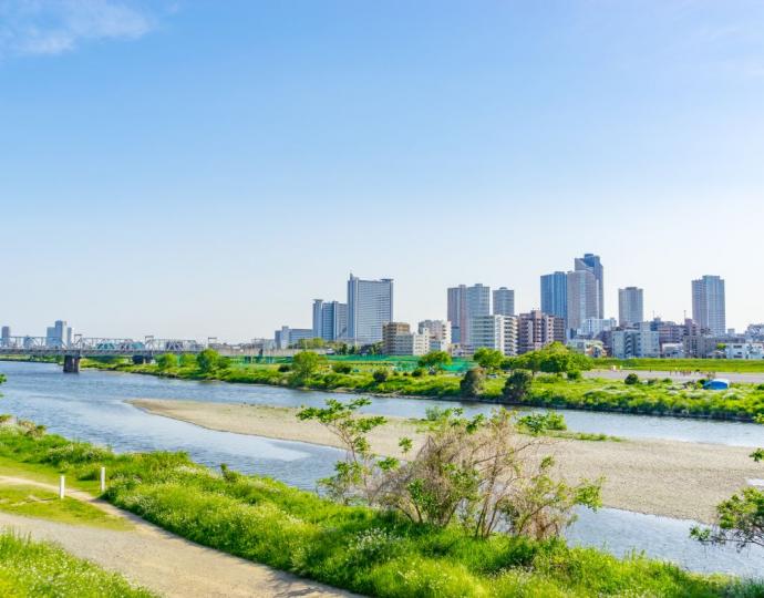 Tama River