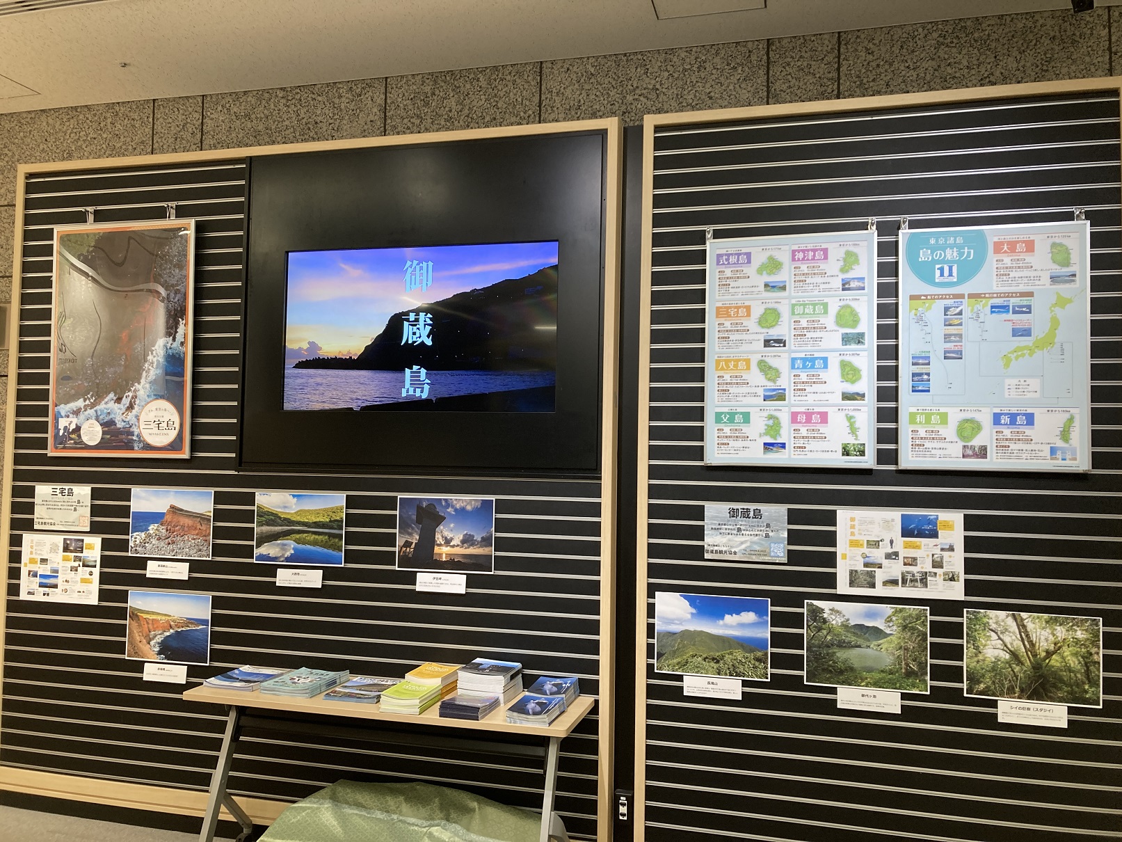 2島めぐり　三宅島、御蔵島①